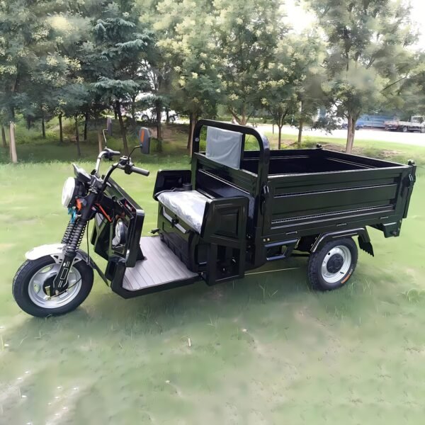 1.6m Electric Tricycle, Family Motorcycle with Dump Truck Compartment for Short-distance Travel and Cargo Transportation