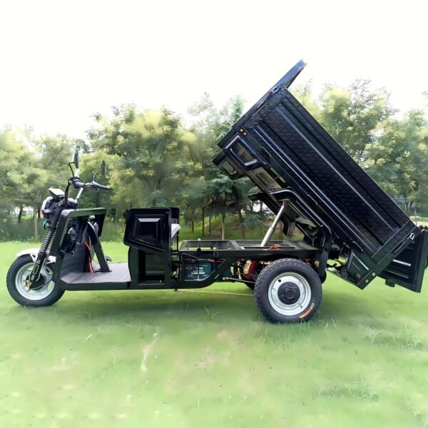 1.6m Electric Tricycle, Family Motorcycle with Dump Truck Compartment for Short-distance Travel and Cargo Transportation - 图片 6